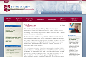 som-screenshot Site screenshot