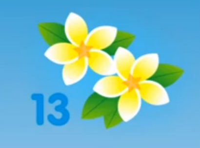 Salesforce Spring '13