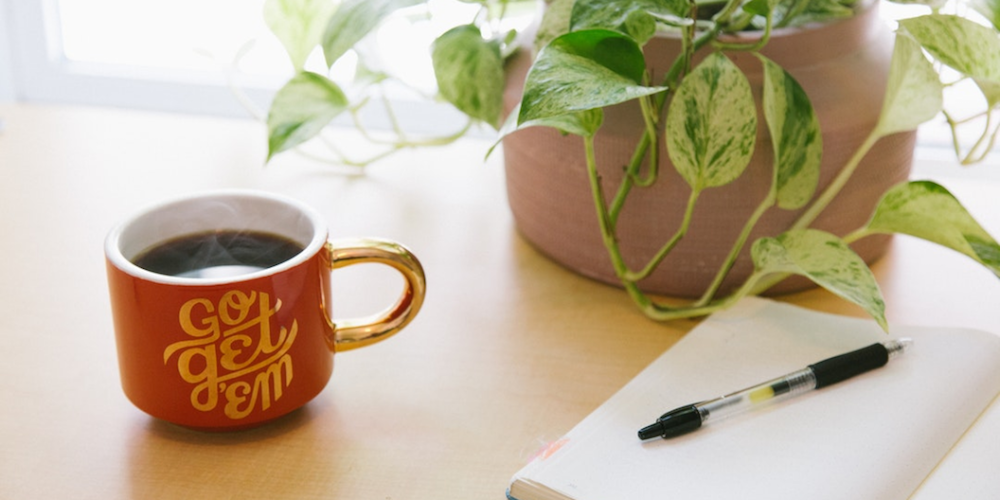 Coffee, table, plant