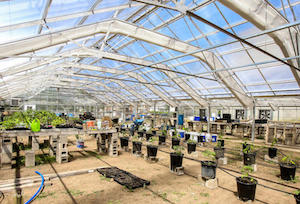 Central Rivers Farmshed